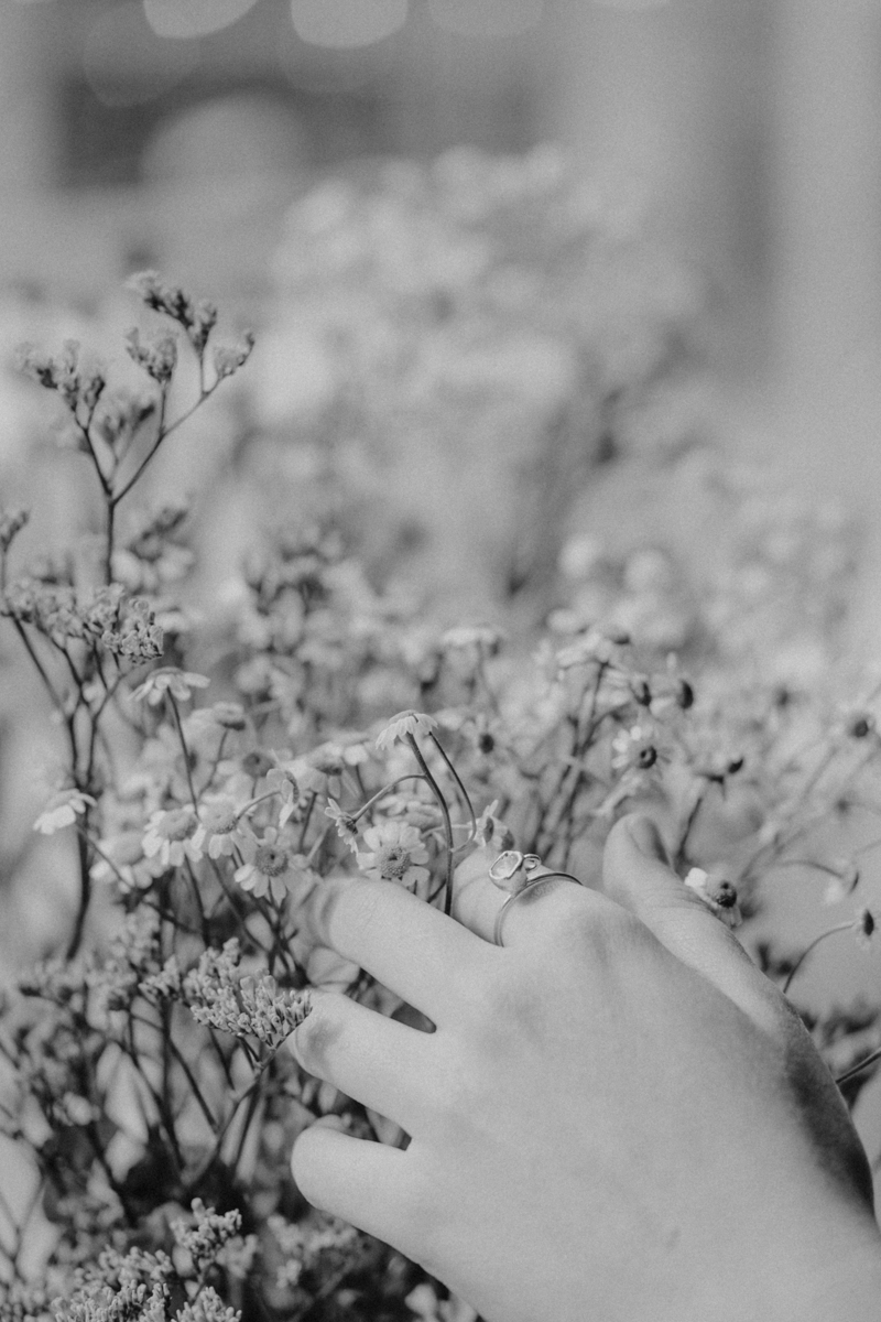 24-0326 - Amélie Gomet - WEB-8031-2