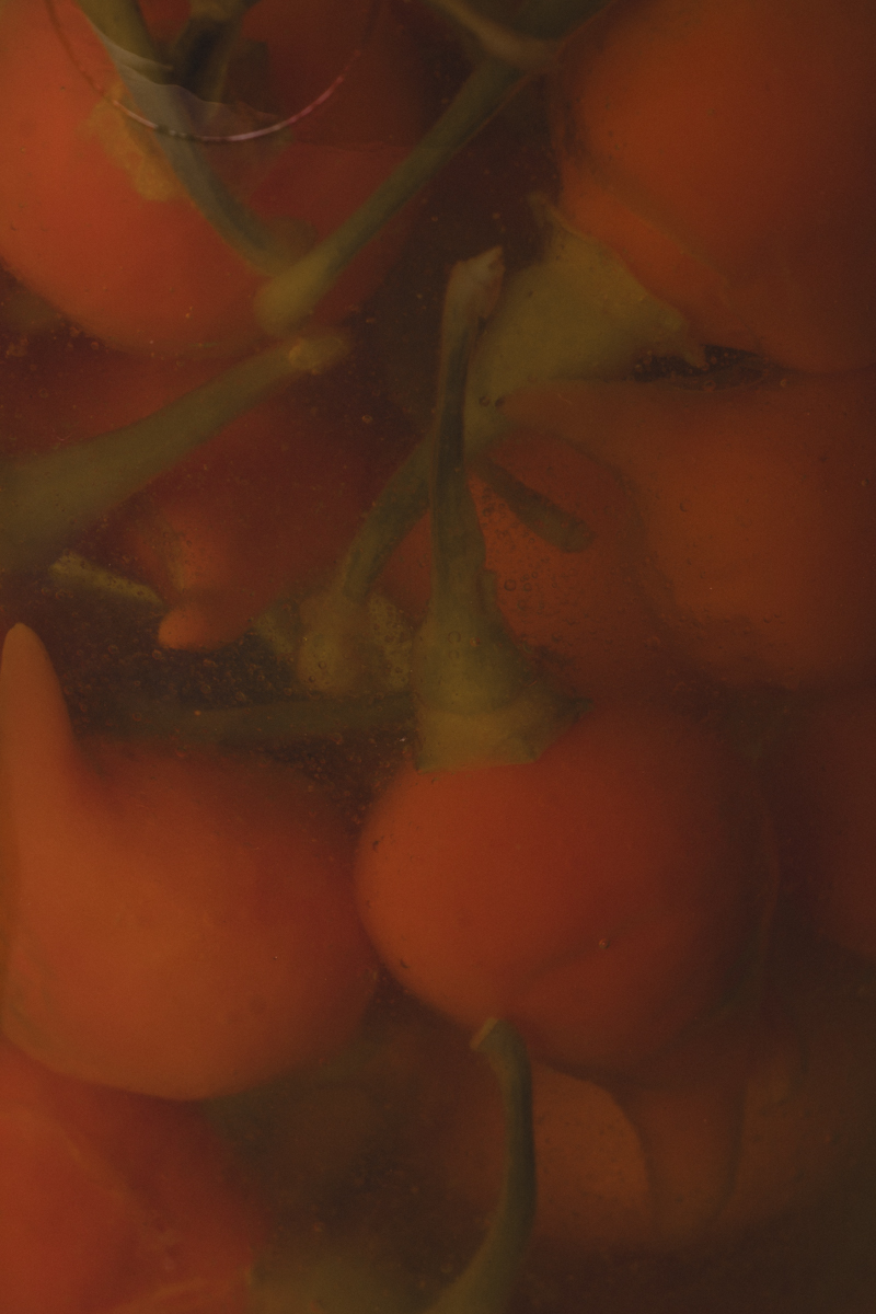 250618 - STUDIO MIAM - WEB-0155